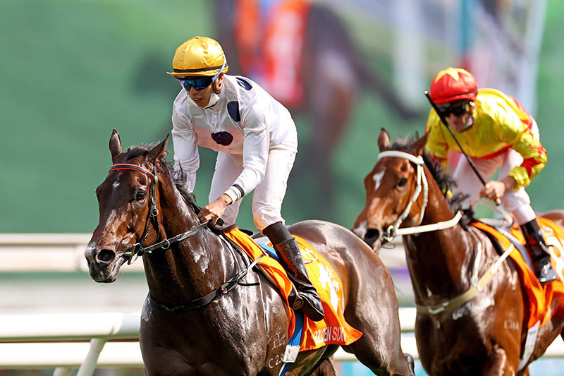 2022 - Golden sensation