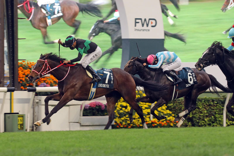 2021 - Loves Only You