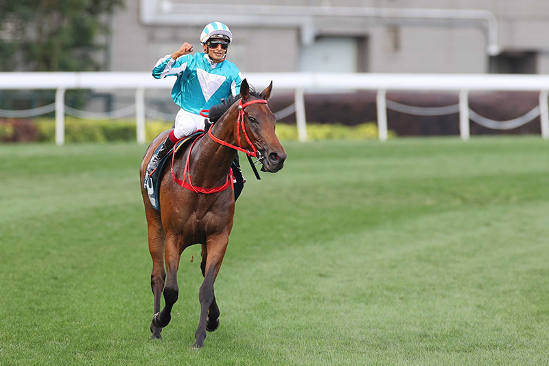 2022 - Romantic Warrior