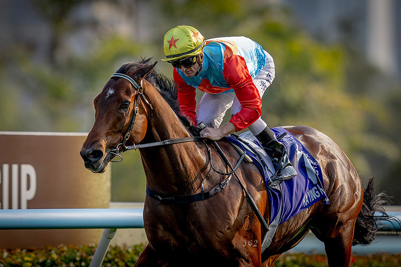 富卫保险冠军赛马日「嘉应高升」、「浪漫勇士」领衔迎击「格伦岛」、「蒙面舞会」及「博物街」