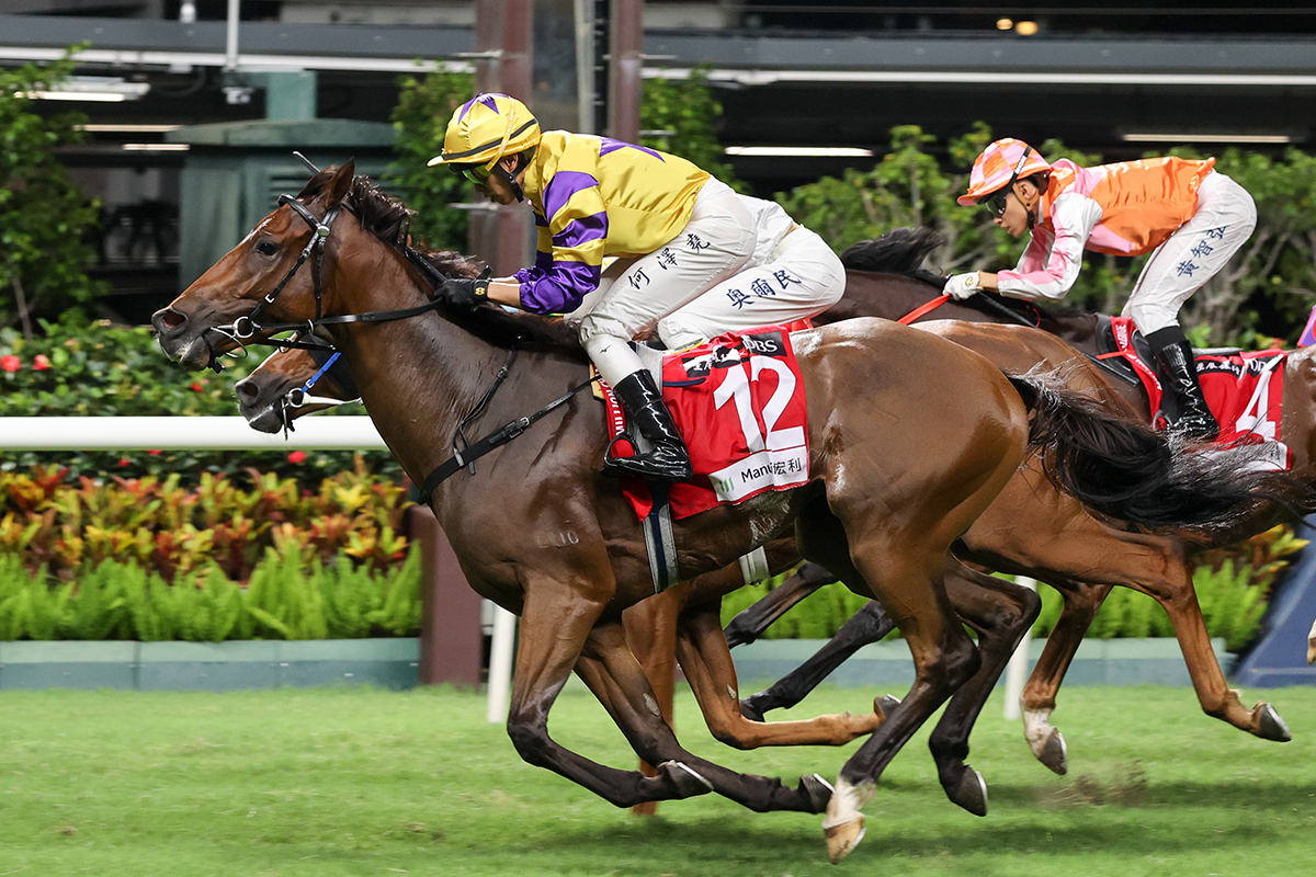 Le Zonda continues impressive winning streak at Happy Valley - DBS ...