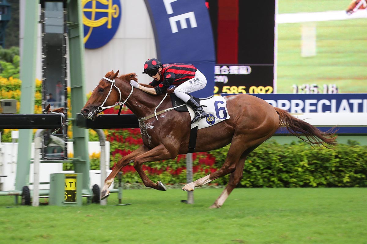Tony Cruz-trained Time Warp, ridden by Alvin Ng, wins the Sha Tin Mile Trophy at Sha Tin Racecourse today. 