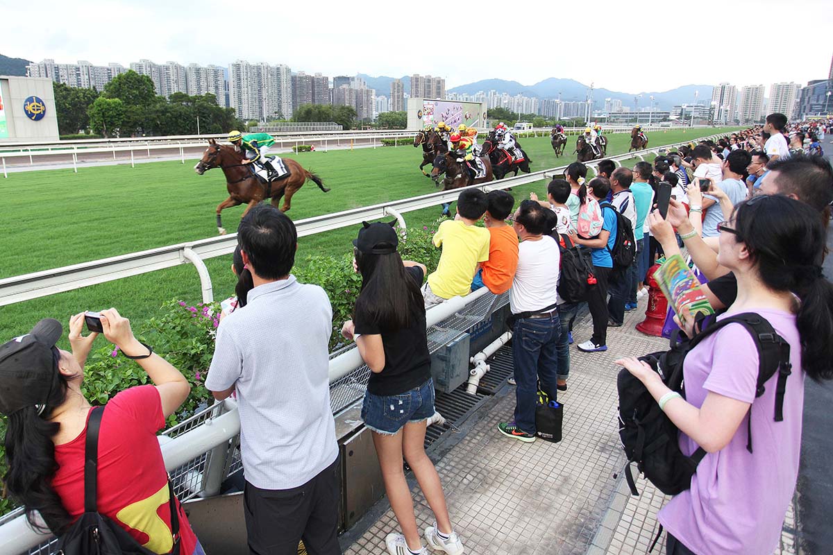 同日舉行新馬季草地試閘，觀眾在草地跑道旁感受馬匹奔馳及衝刺的震撼。