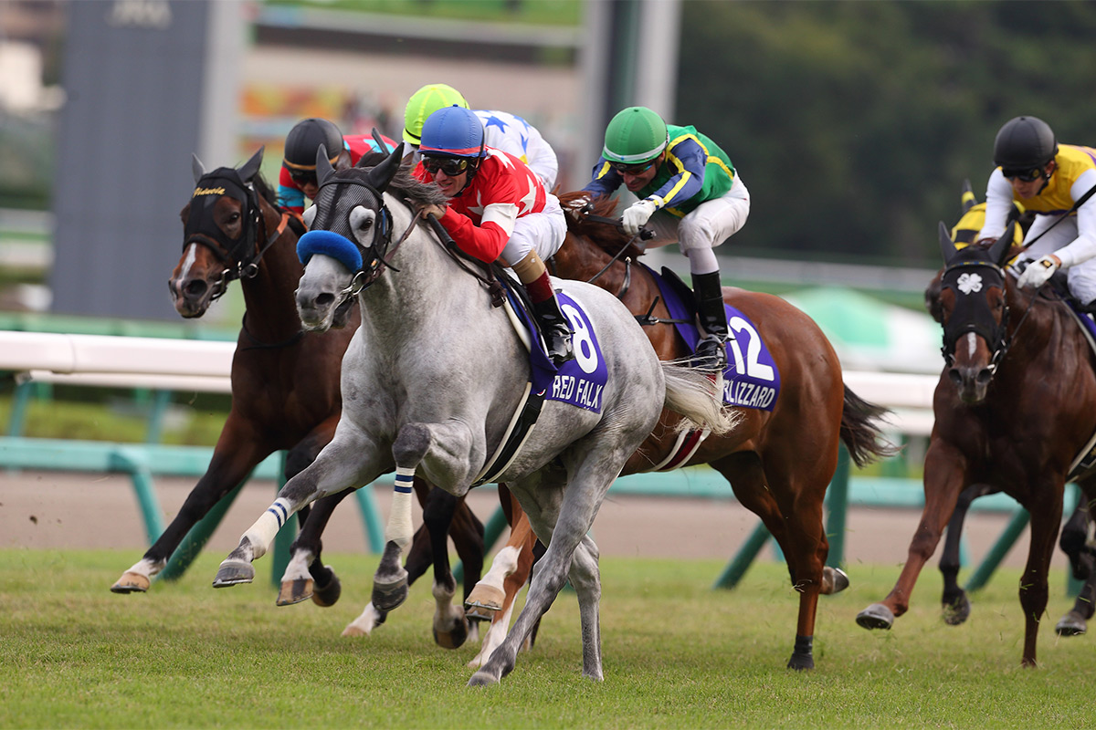 短途馬錦標（國際一級賽 - 1200米）今日下午（10月1日）於日本中山競馬場舉行，由尾關知人訓練、杜滿萊策騎的「彎刀赤駿」（8號馬）勝出。
