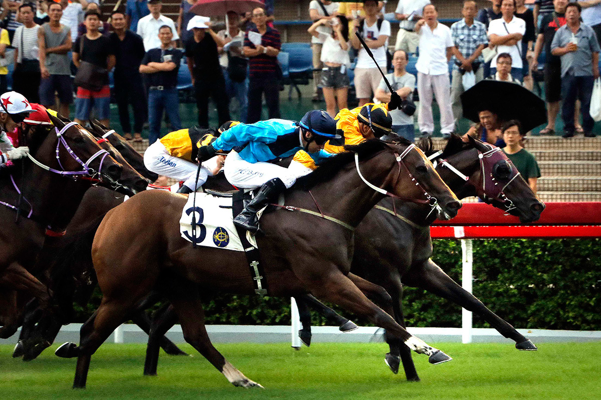 「飛來猛」(6號）在騎師何澤堯胯下勇奪三級賽國慶盃（1000米）。