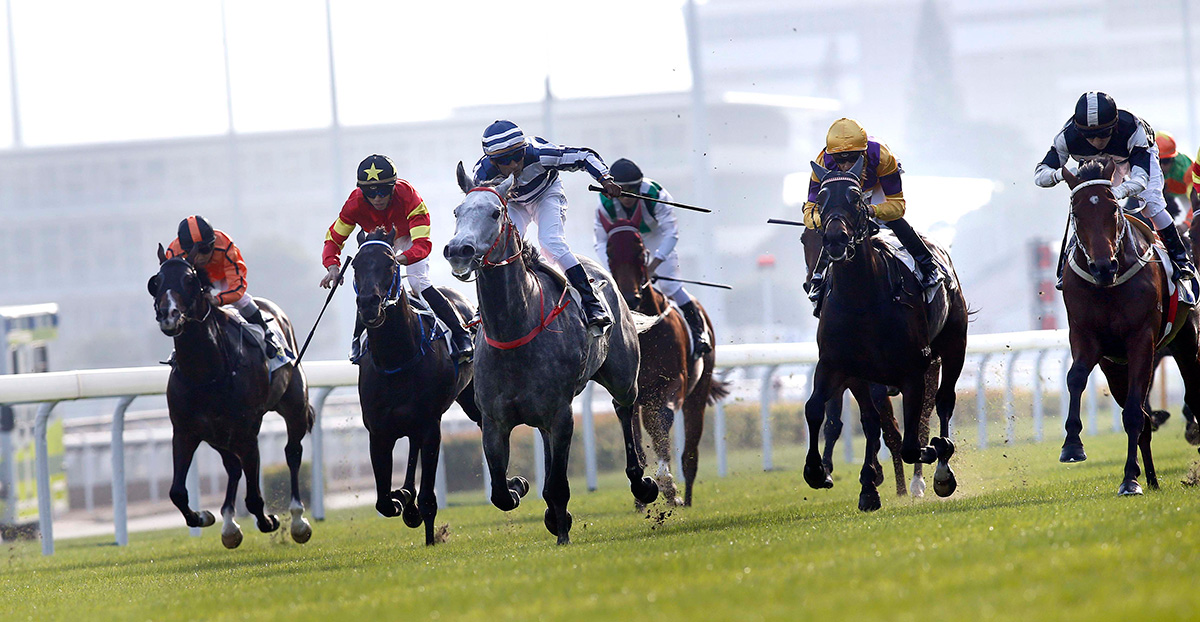 何良訓練的「五十五十」（7號馬 – 藍白綵衣），於田泰安胯下勝出今日於沙田馬場舉行的第一班賽事其士盃（1600米）。