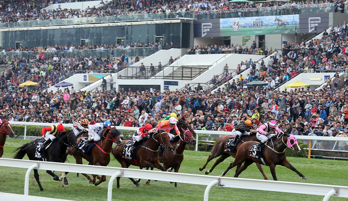 「壯思飛」（14號馬）於去年的浪琴表香港一哩錦標，落後頭馬「美麗大師」（粉紅色綵衣）一個馬位得季軍。