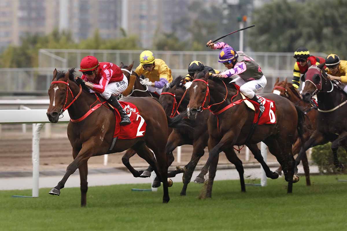 由蔡約翰訓練的「紅衣醒神」（2號馬），於羅理雅胯下勝出今日於沙田馬場舉行的二級賽「中銀理財」馬會短途錦標（1200米草地賽）。