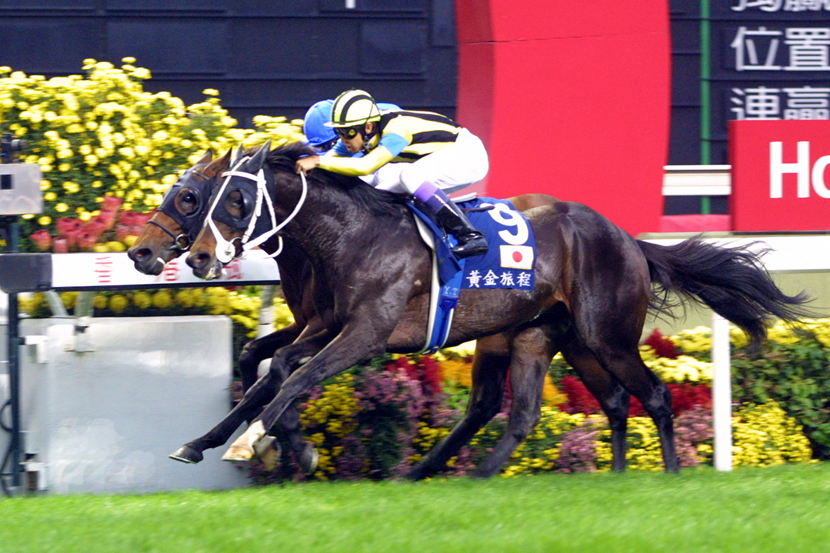 「黃金旅程」於2001年成為首匹攻下香港瓶的日本賽駒。