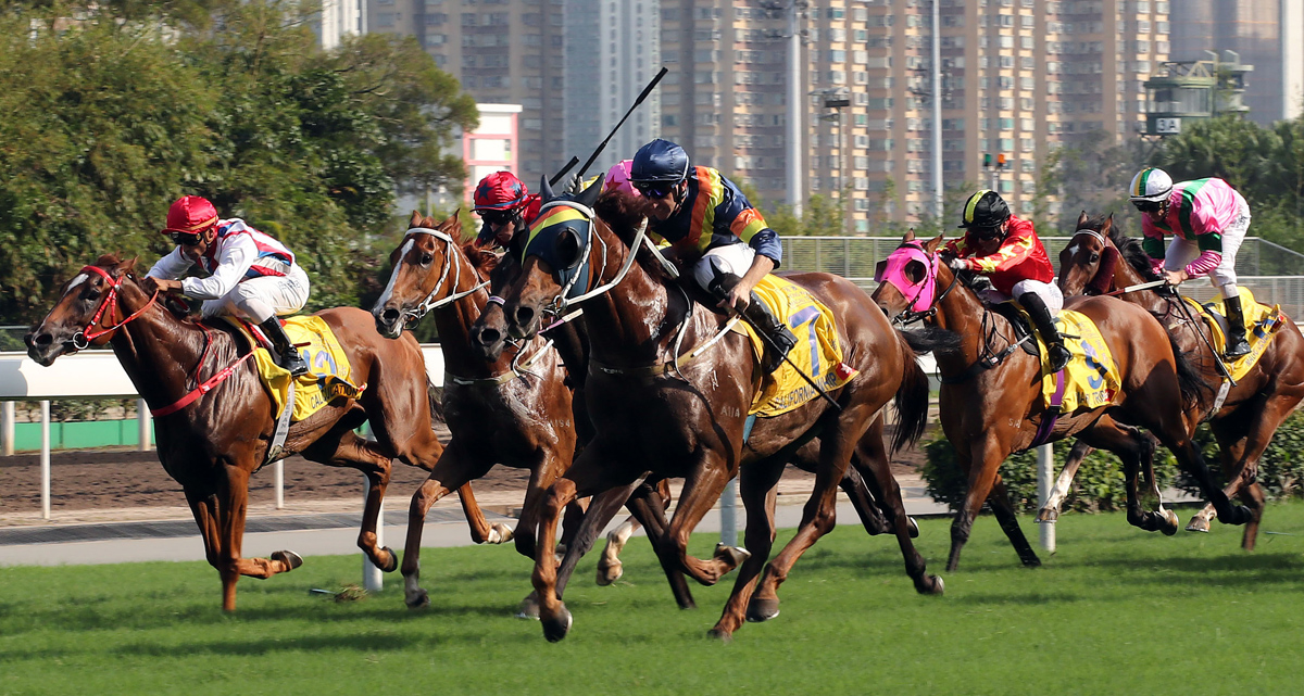 由告東尼訓練的香港賽駒「加州議長」（7號馬），在郭能策騎下勝出今日於沙田馬場舉行的港澳盃。