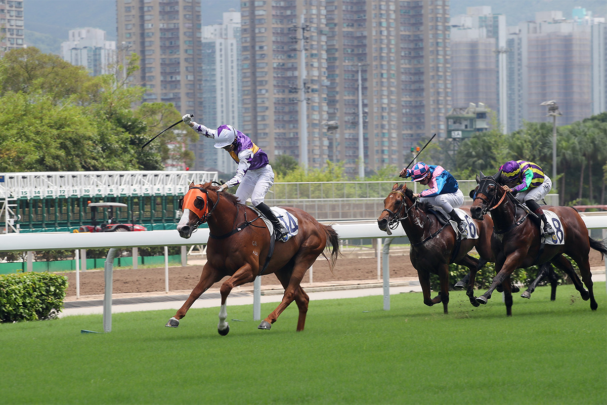 見習騎師黃皓楠於今日沙田第三場賽事中，策騎由徐雨石訓練的「洪荒駿駒」（14號馬）勝出個人在港第七十場頭馬，宣告畢業。