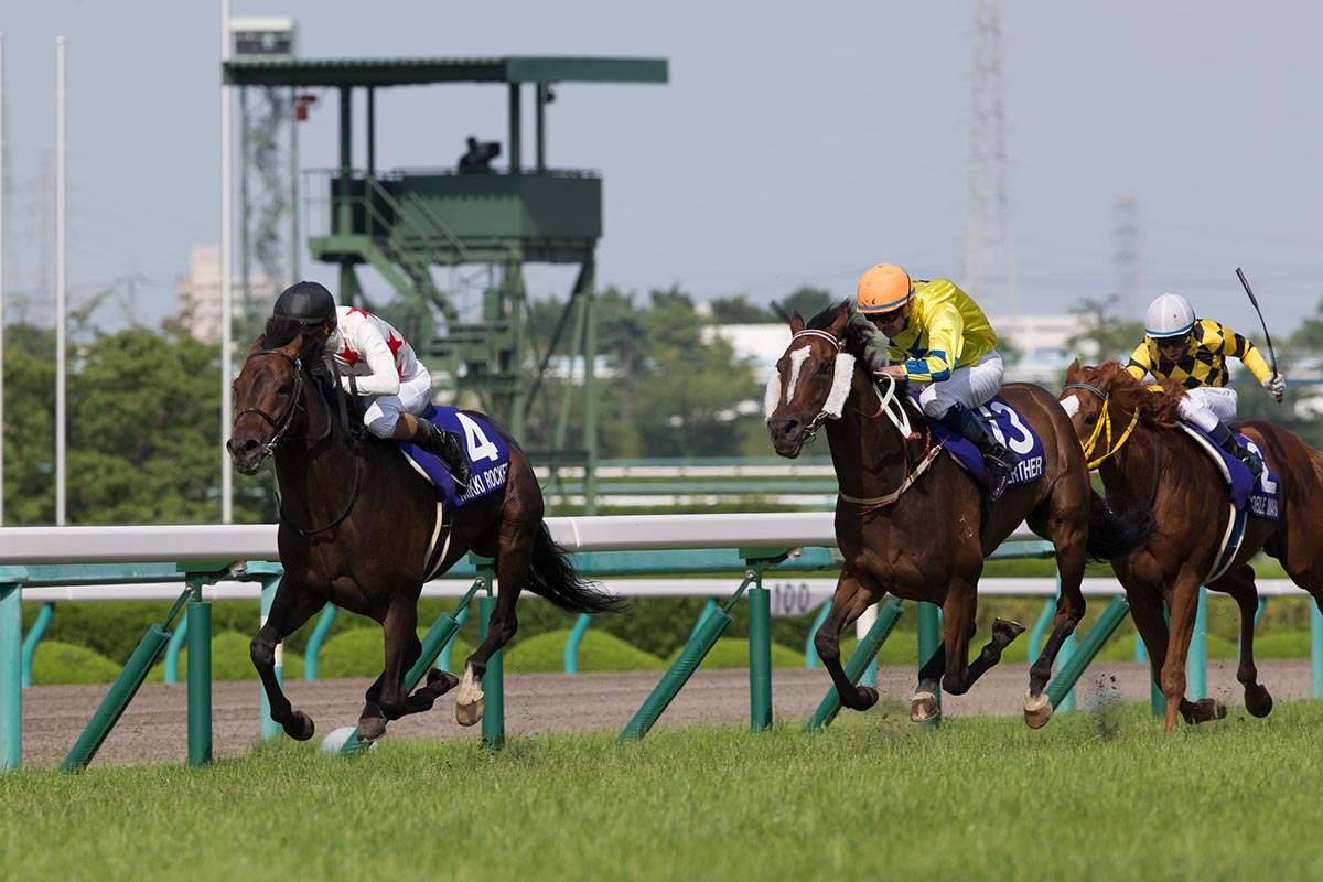 一級賽寶塚紀念賽今日於日本阪神競馬場舉行，香港代表「明月千里」（13號馬）僅以頸位負於「覓奇火箭」（4號馬），跑獲亞軍。