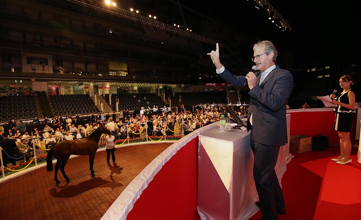 2018香港國際馬匹拍賣會（6月）今晚於沙田馬場馬匹亮相圈舉行，共有14匹未曾出賽的新馬供合資格人士競投。