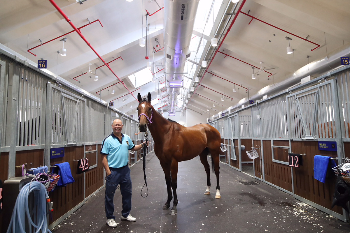 練馬師蘇偉賢上月造訪從化馬匹訓練中心時與旗下的「發盈喜」合照。
