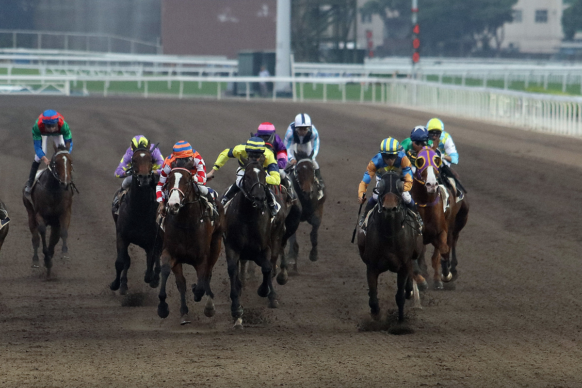 「上市動力」（藍色/橙色綵衣）勝出第九場賽事，其練者徐雨石及騎師何澤堯今日均能兩勝頭馬。