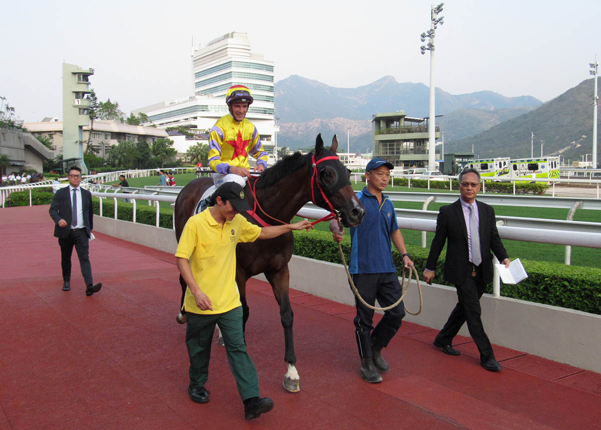 寶馬香港打吡冠軍「平海福星」於慶典盃復出，並跑入一席出色的亞軍。