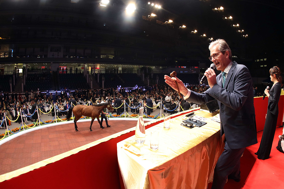 2019香港國際馬匹拍賣會（3月）今晚於沙田馬場馬匹亮相圈舉行，共有27匹未曾出賽的新馬供合資格人士競投。