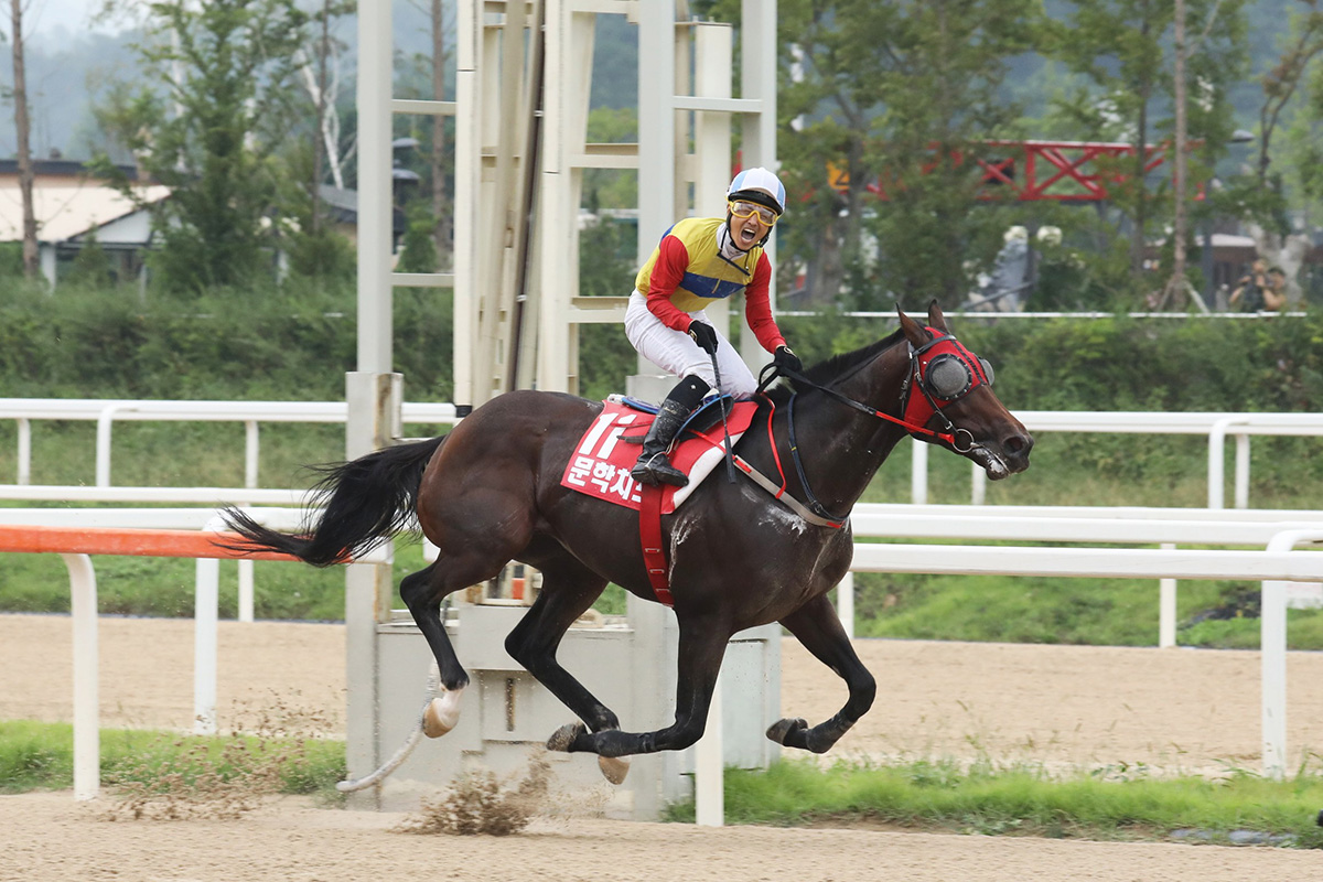 騎師文世英於坐騎「文學主任」在韓國盃中率先衝過終點後慶祝勝利。