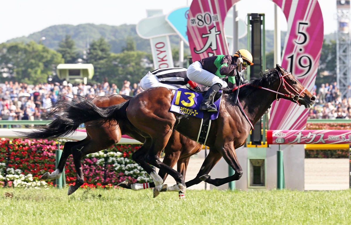 唯獨愛你 – 日本: 初出四戰全勝，包括日本橡樹大賽（一級賽）。上仗在京都角逐女皇伊利沙伯二世盃（一級賽），首次面對較年長的雌馬，仍能以優異表現跑獲季軍。