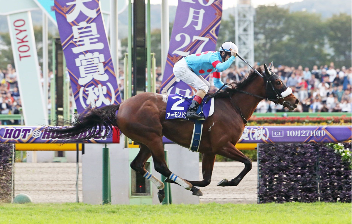 杏目 – 日本: 這匹2018年日本三冠馬后出道至今十戰八捷，賽績驕人。上仗勝出一級賽秋季天皇賞，演出甚佳。