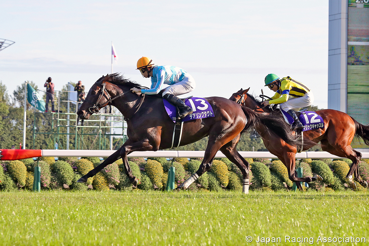 「謀勇兼備」為今屆富衛保險冠軍賽馬日報名馬匹名單中的星級賽駒。(圖片由日本中央競馬會提供)
