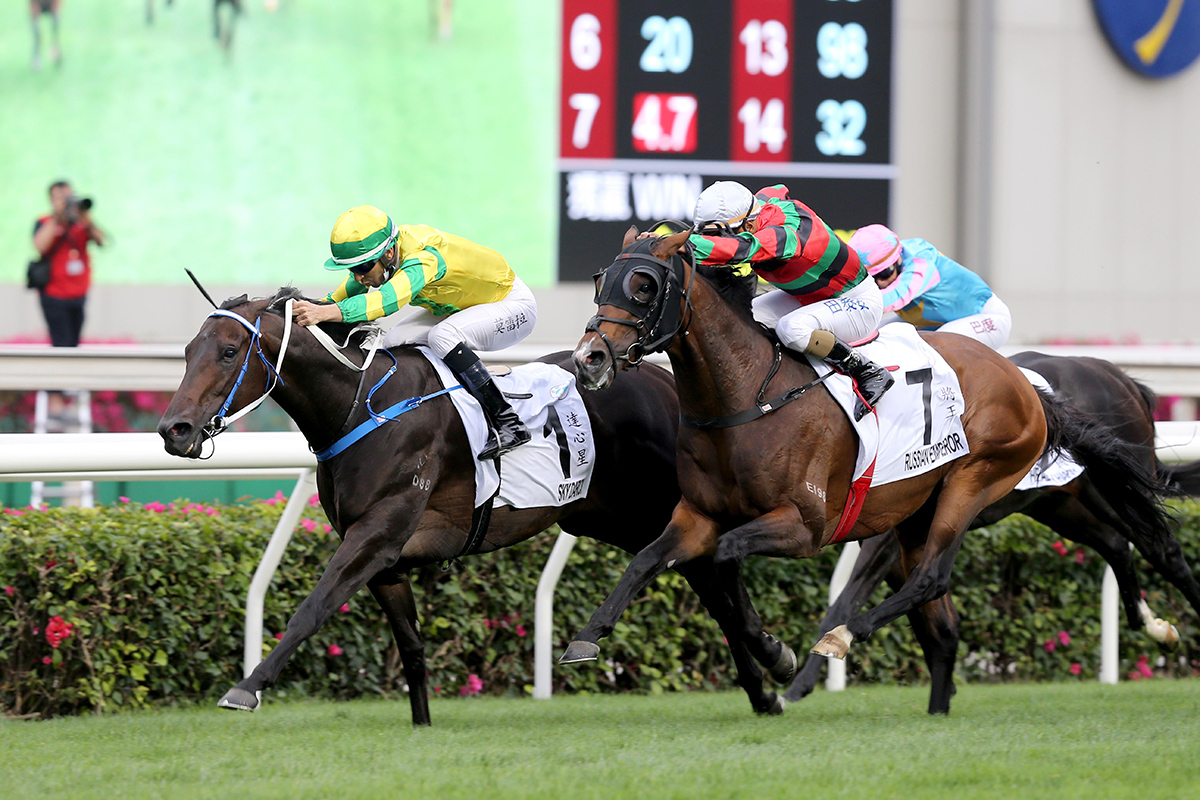 「將王」（7號馬）在2021年寶馬香港打吡大賽（2000米）中，跑獲接近的亞軍。