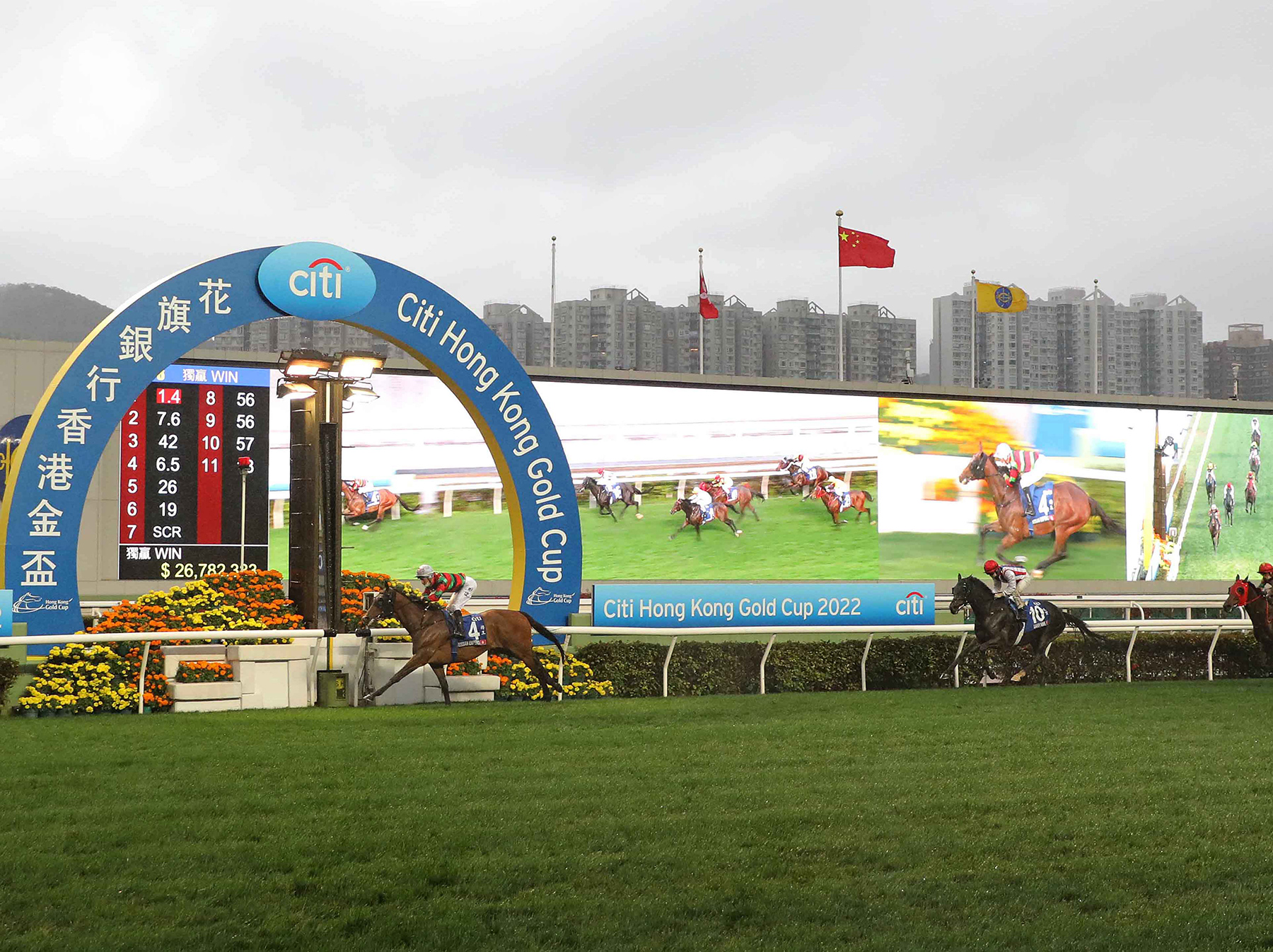 由韋達訓練的「將王」，在薛恩策騎下勝出今日在沙田馬場舉行的花旗銀行香港金盃（國際一級賽2000米）。