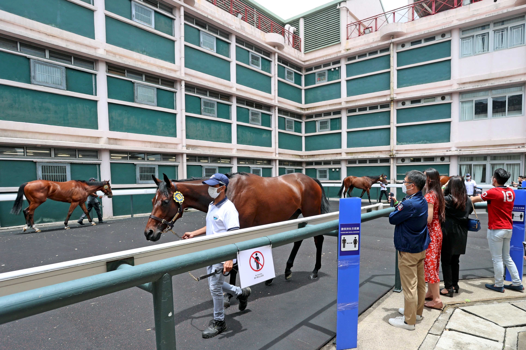 今晨的拍賣馬匹試跑示範吸引了馬主、練馬師及準買家們到場觀看。