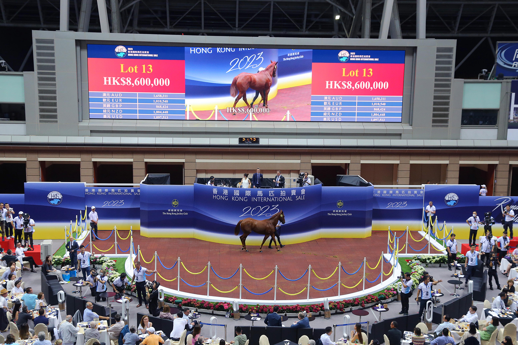編號13拍賣馬以八百六十萬港元售出，成為今晚拍賣會成交價最高一駒。