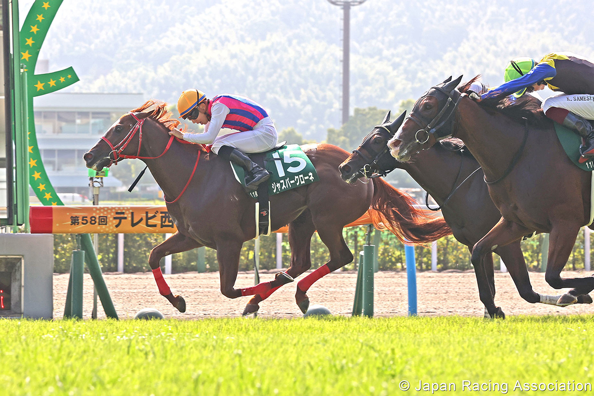 由森秀行訓練的「加市冠冕」是日本馬壇其中一匹短途新星。