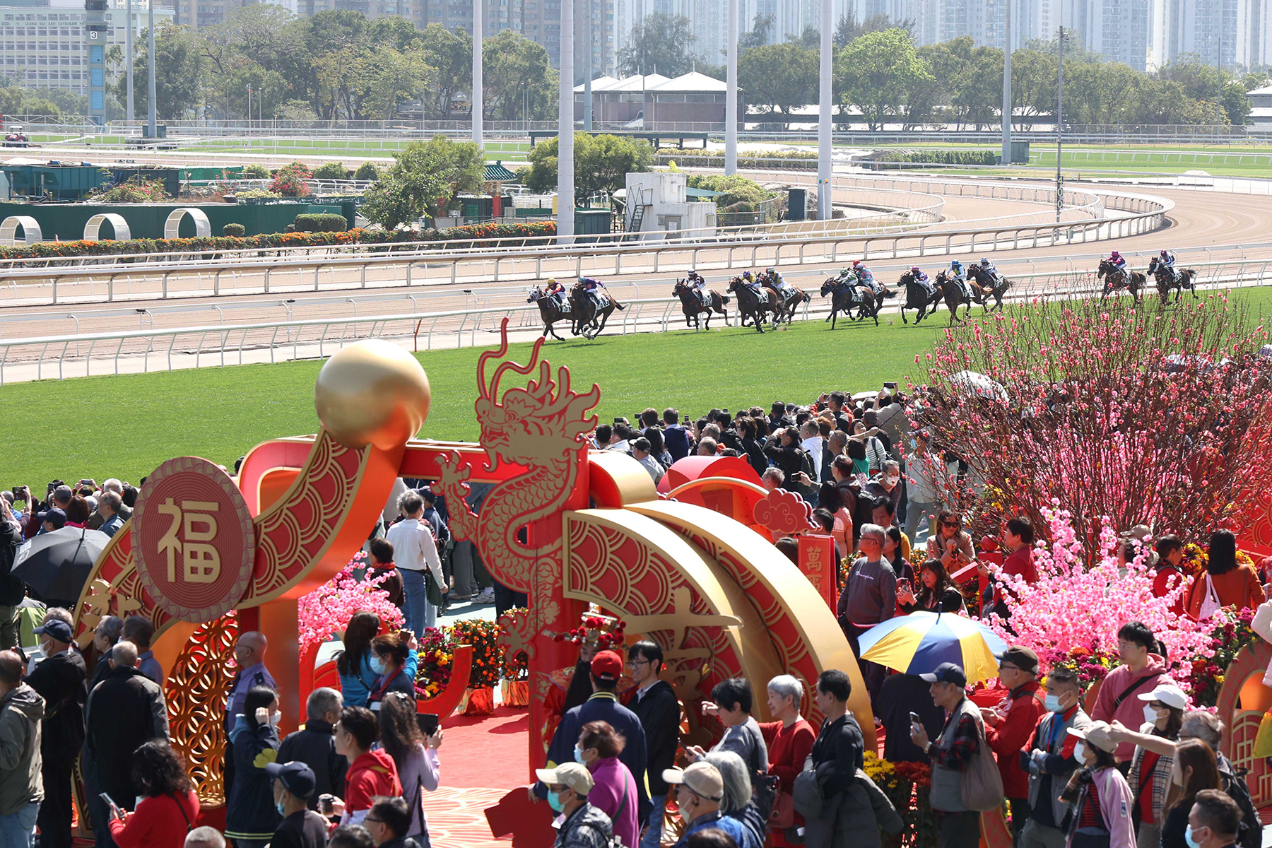 農曆新年賽馬日吸引一眾市民入場觀看賽馬歡度新歲。