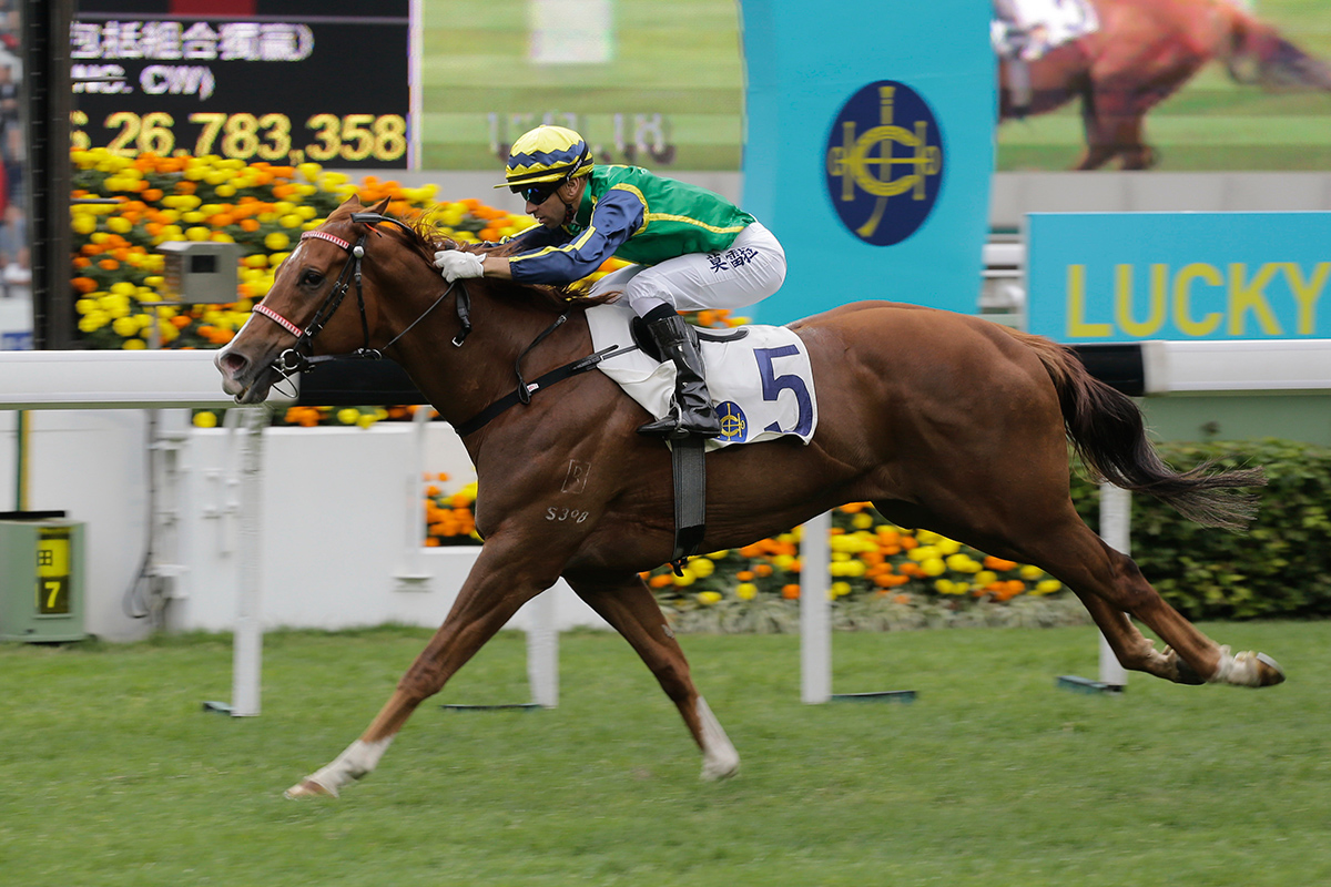 Blizzard wins the G3 Chinese Club Challenge Cup at Sha Tin last season.