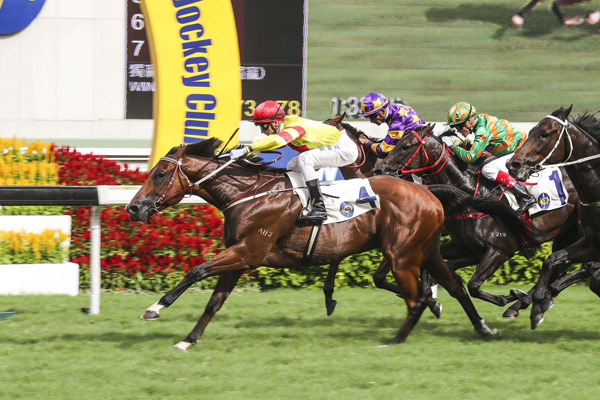 Booming Delight lands the G3 Lion Rock Trophy in style with Sam Clipperton on board. 