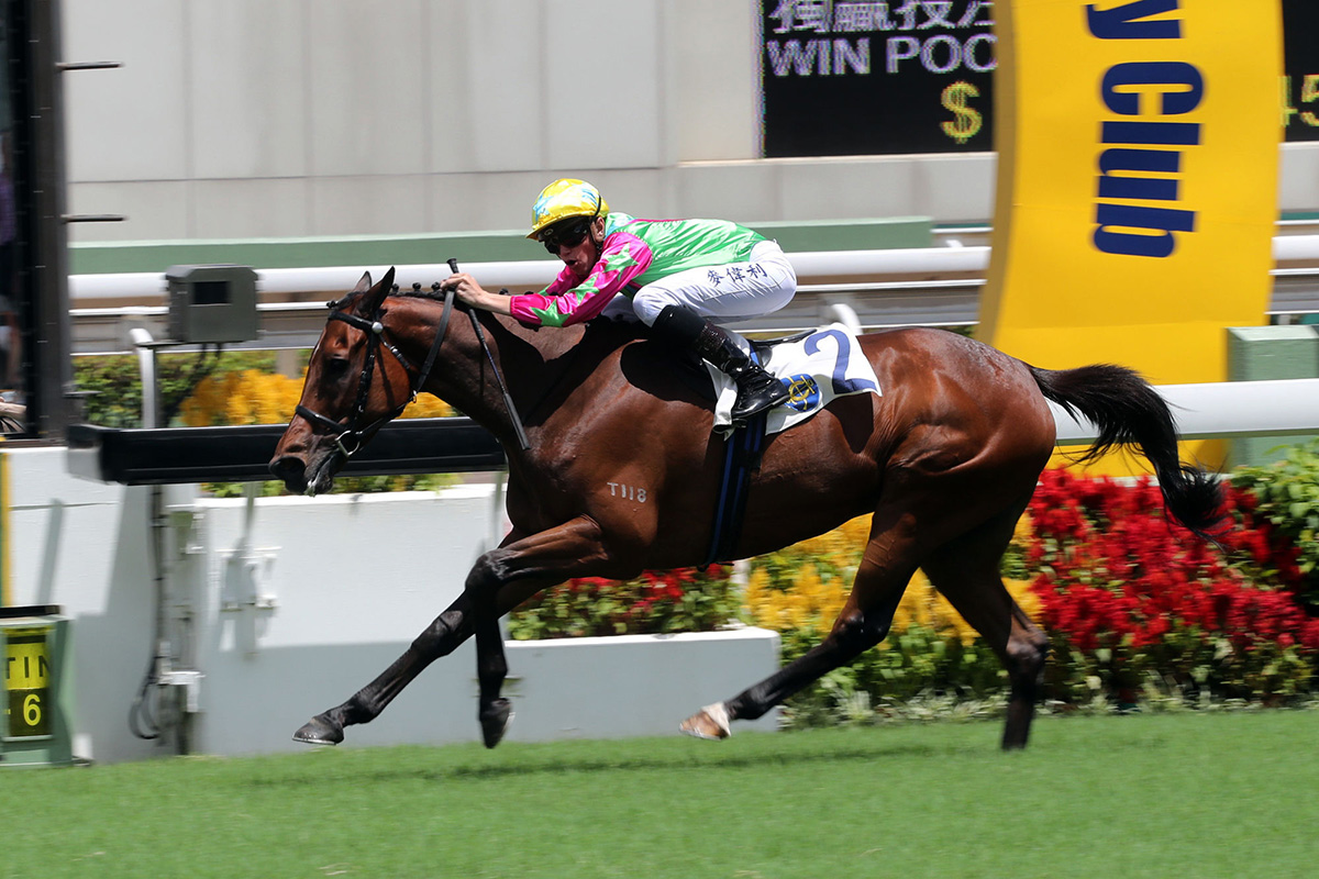 Callan Murray steers Horse Of Fortune to an impressive victory in the G3 Premier Plate last month. 