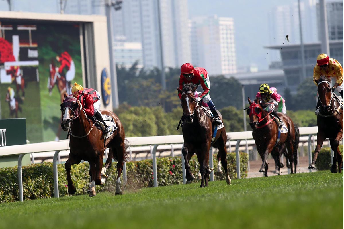 Helene Charisma (red cap) finishes a creditable second behind stablemate Eagle Way in the G3 Queen Mother Memorial Cup earlier this season. 
