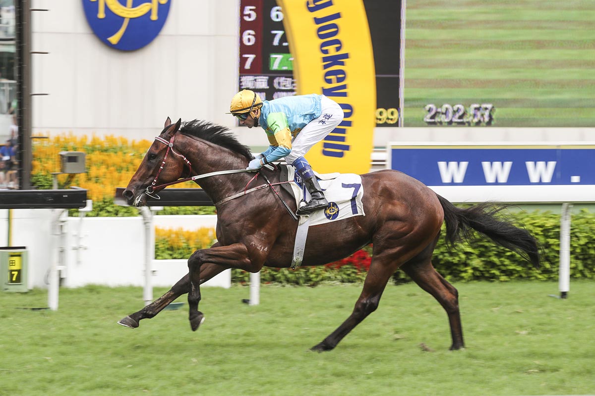 Rocketeer opens his Hong Kong account in style last start with Douglas Whyte on board. 