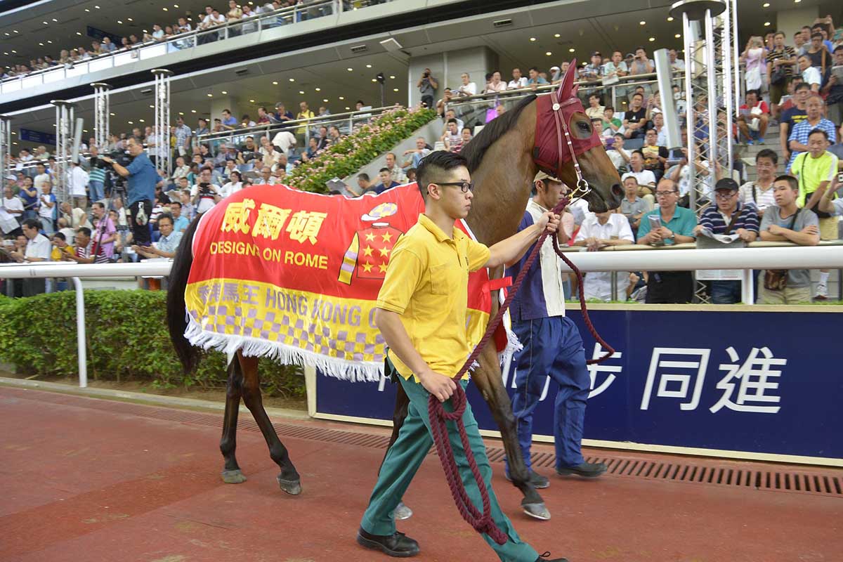 Designs On Rome parades for the last time at Sha Tin Racecourse in front of his faithful fans.