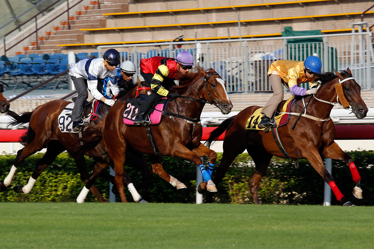 Peniaphobia (yellow silks) and Lucky Bubbles (purple cap) finish one-two in a 1000m turf barrier at Sha Tin this morning.