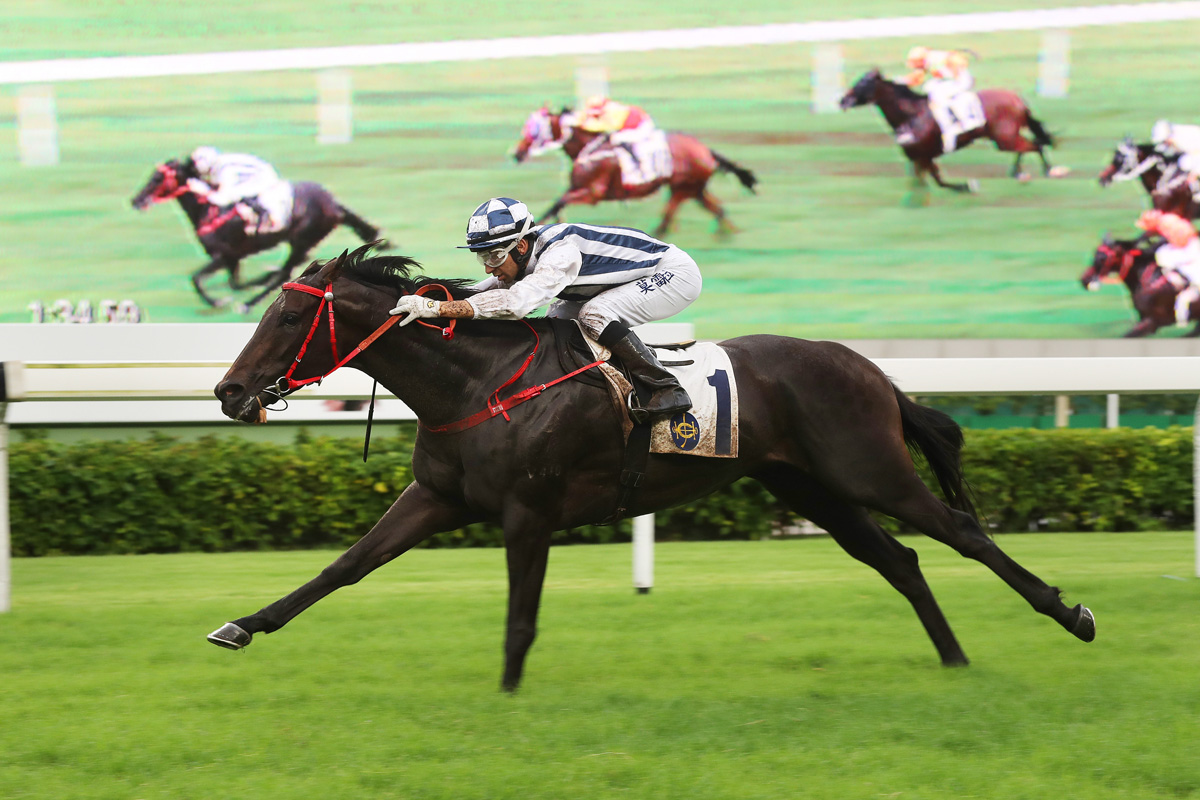 Seasons Bloom wins a Class 2 1600m event at Sha Tin in June.