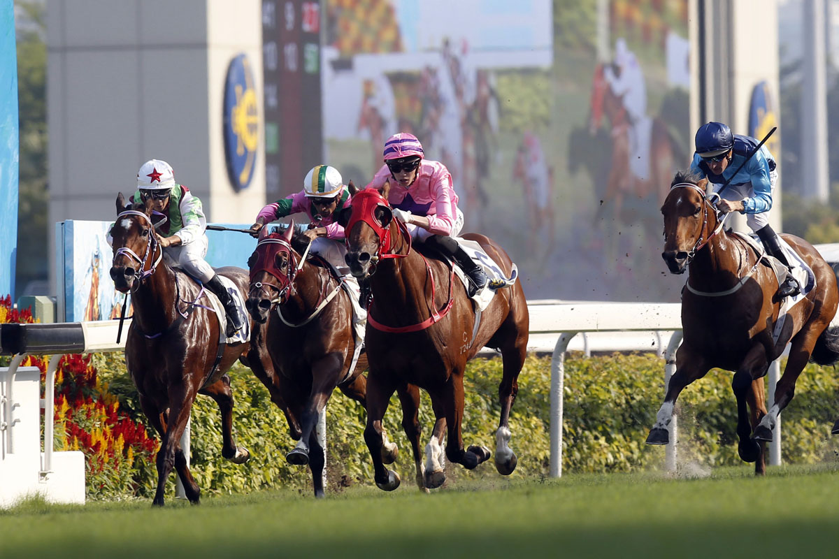 Magic Legend (pink silk / white cap) finishes a close fourth in the G3 Sha Tin Vase Handicap over the course and distance in May.