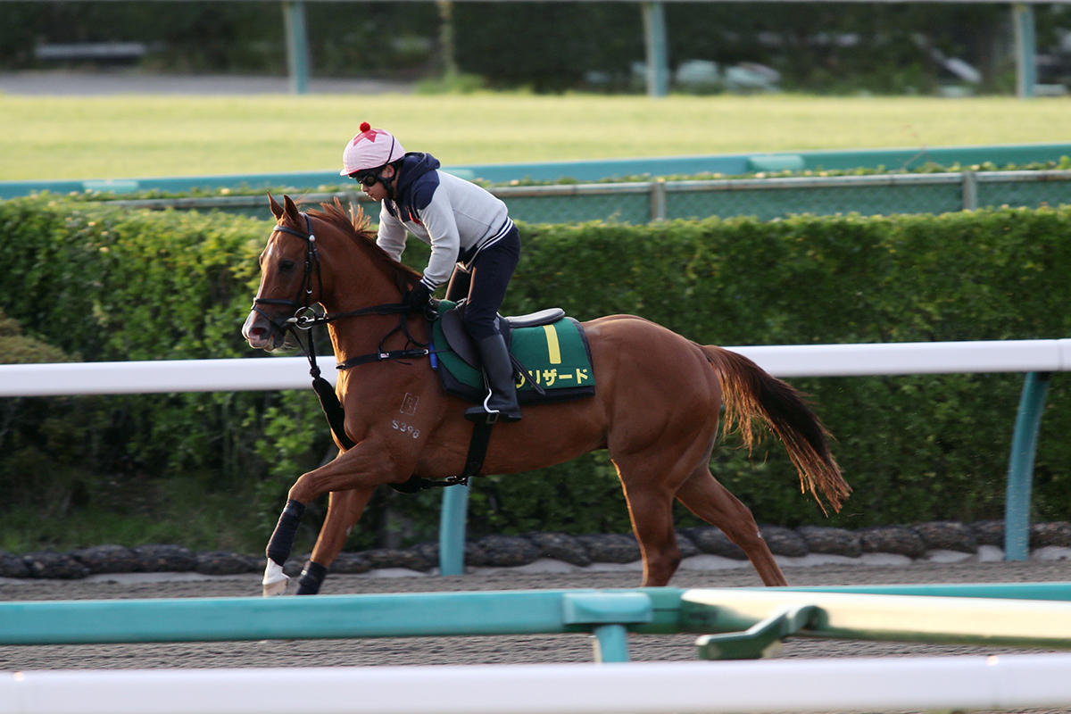 Blizzard stretches his legs at Nakayama Racecourse ahead of the Sprinters Stakes on Sunday.