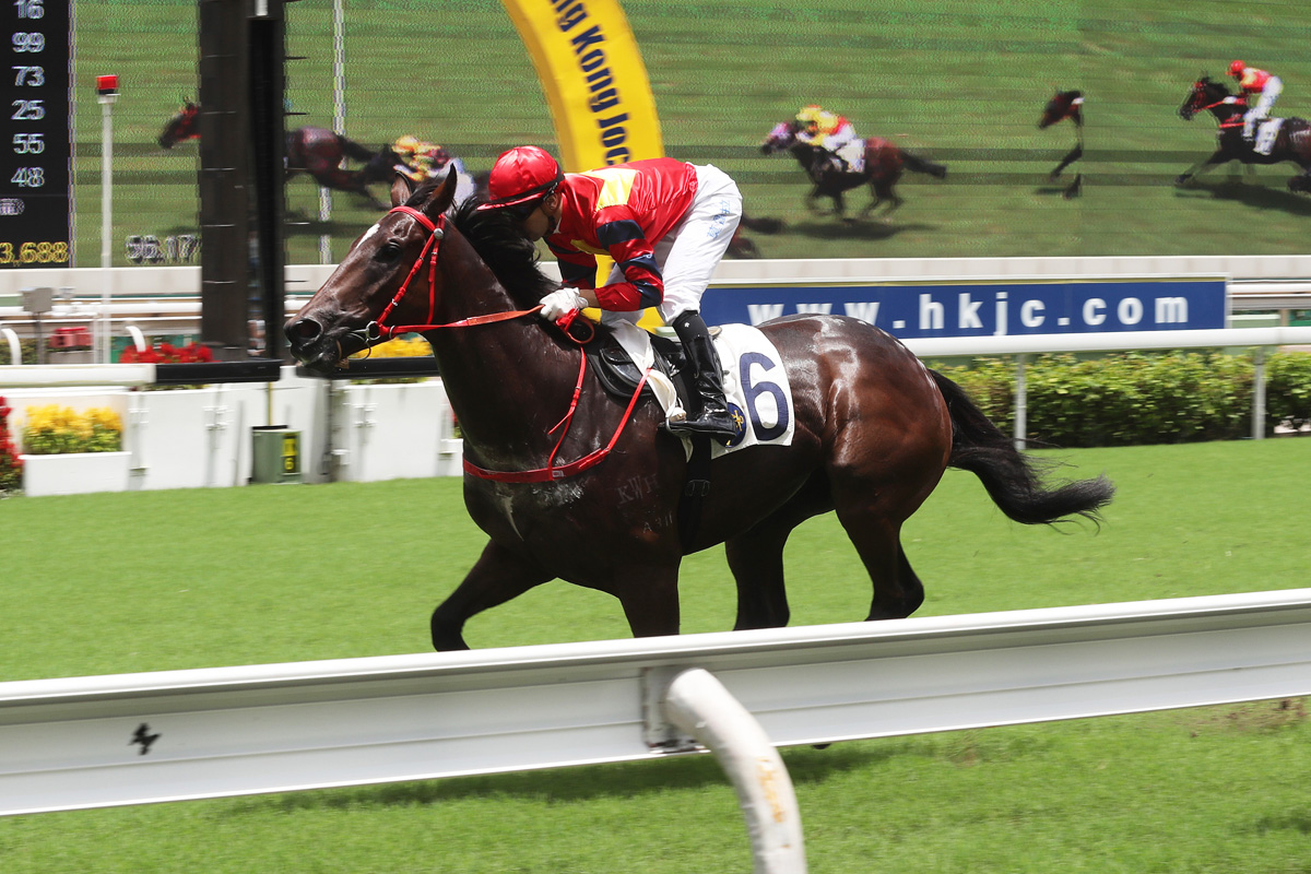 Travel Emperor makes a winning Hong Kong debut in a 1000m event at Sha Tin in June.