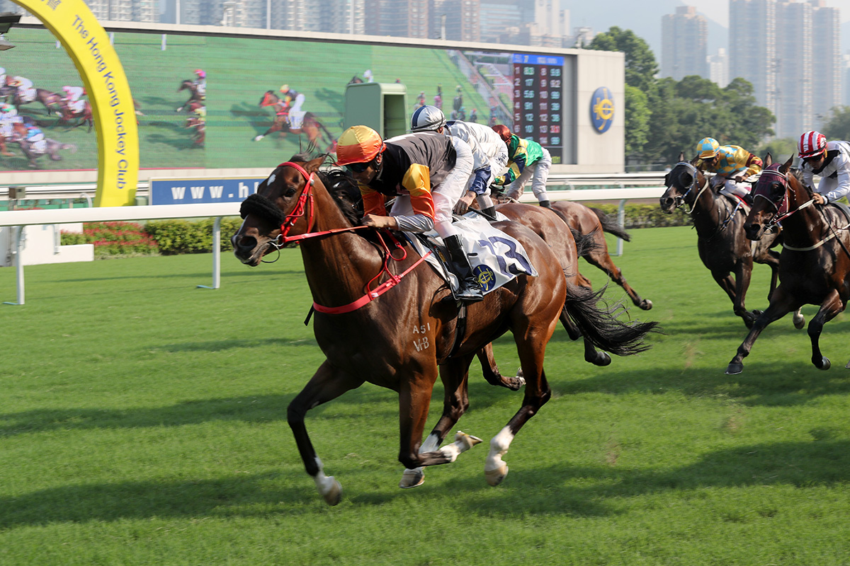 Last season’s Champion Griffin Premiere wins the Class 2 Chinese Recreation Challenge Cup Handicap (1000m) for Joao Moreira and John Size.
