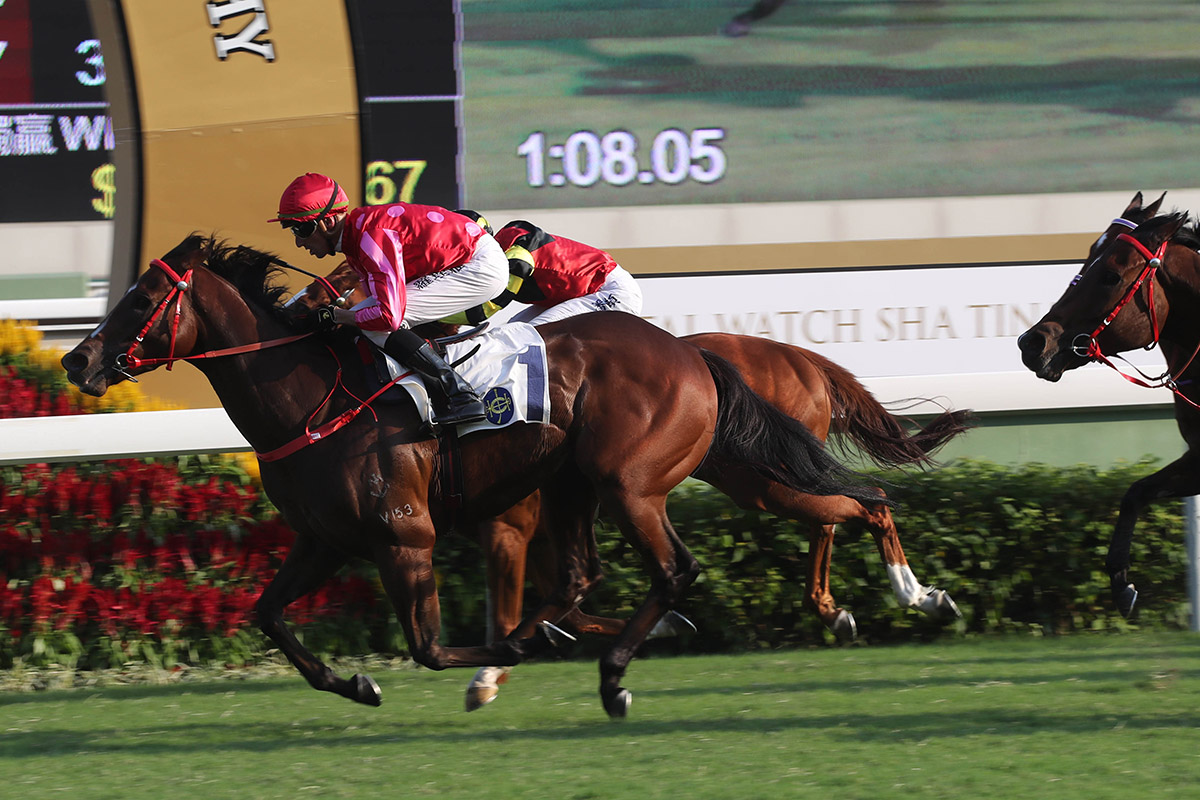Mr Stunning stamps himself as one of the major contenders for the G1 LONGINES Hong Kong Sprint after winning the G2 Premier Bowl Handicap at Sha Tin.