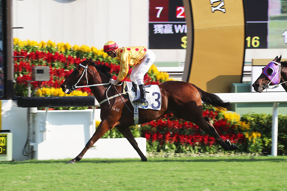 Gold Mount wins at his seasonal reappearance in a Class 2 1800m event on Oriental Watch Day.
