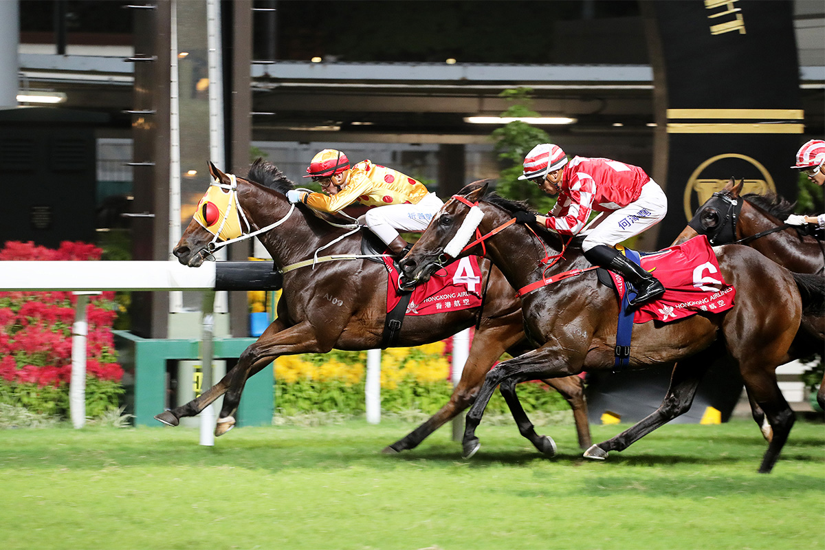 Gold Land breaks his local maiden at Happy Valley last start.
