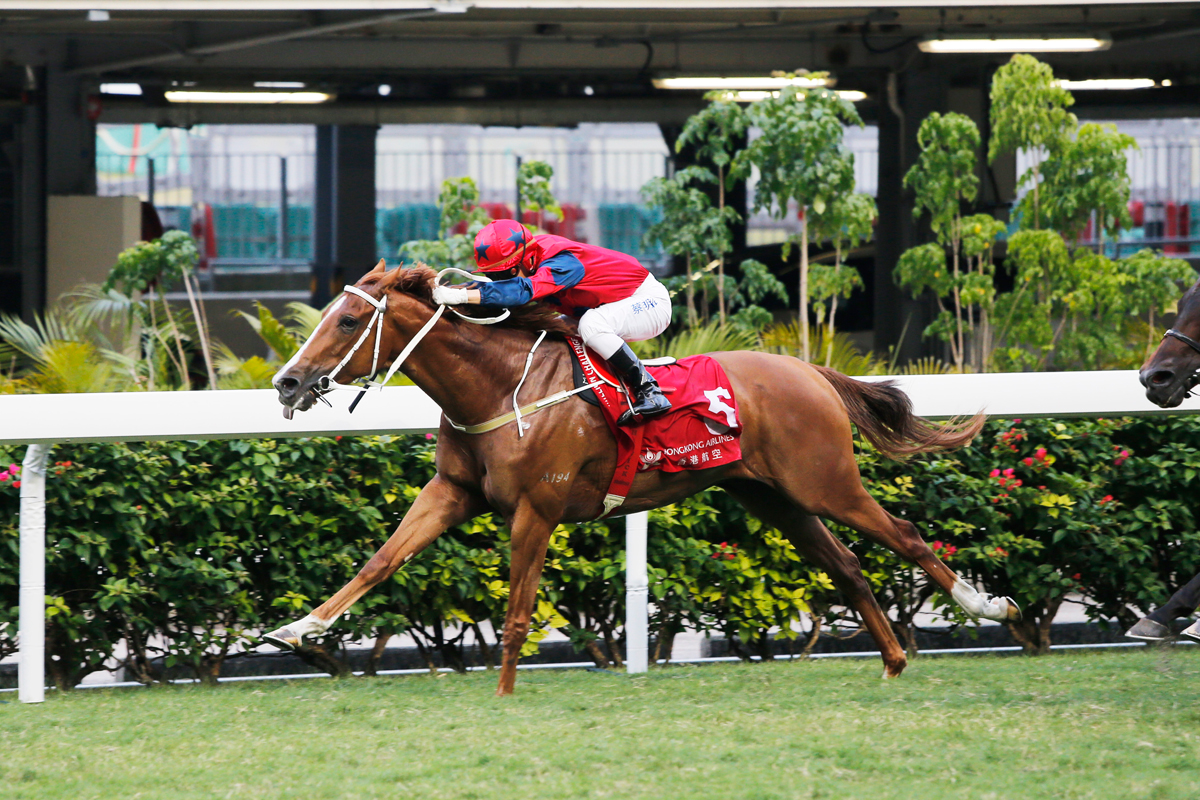 The Golden Age, trained by Tony Cruz and ridden by Matthew Chadwick, opens his Hong Kong account in the Class 2 Wong Chuk Hang Handicap (1650m).