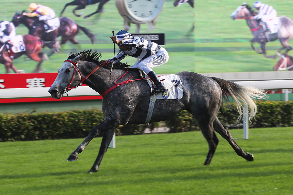 Peter Ho-trained Fifty Fifty (No. 7 – blue and white silks), ridden by Karis Teetan, takes the Chevalier Cup (Class 1 1600m) at Sha Tin Racecourse today.