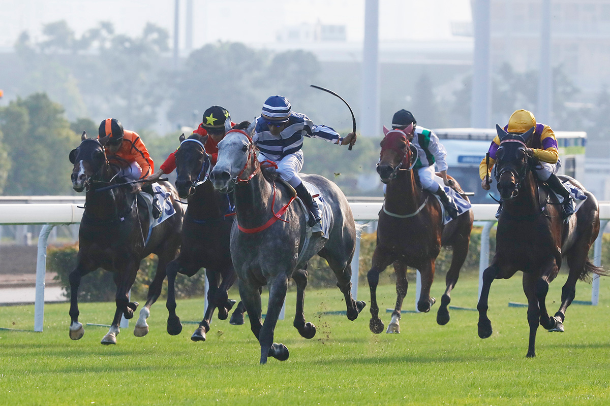 Fifty Fifty wins the Chevalier Cup Handicap at Sha Tin Racecourse.