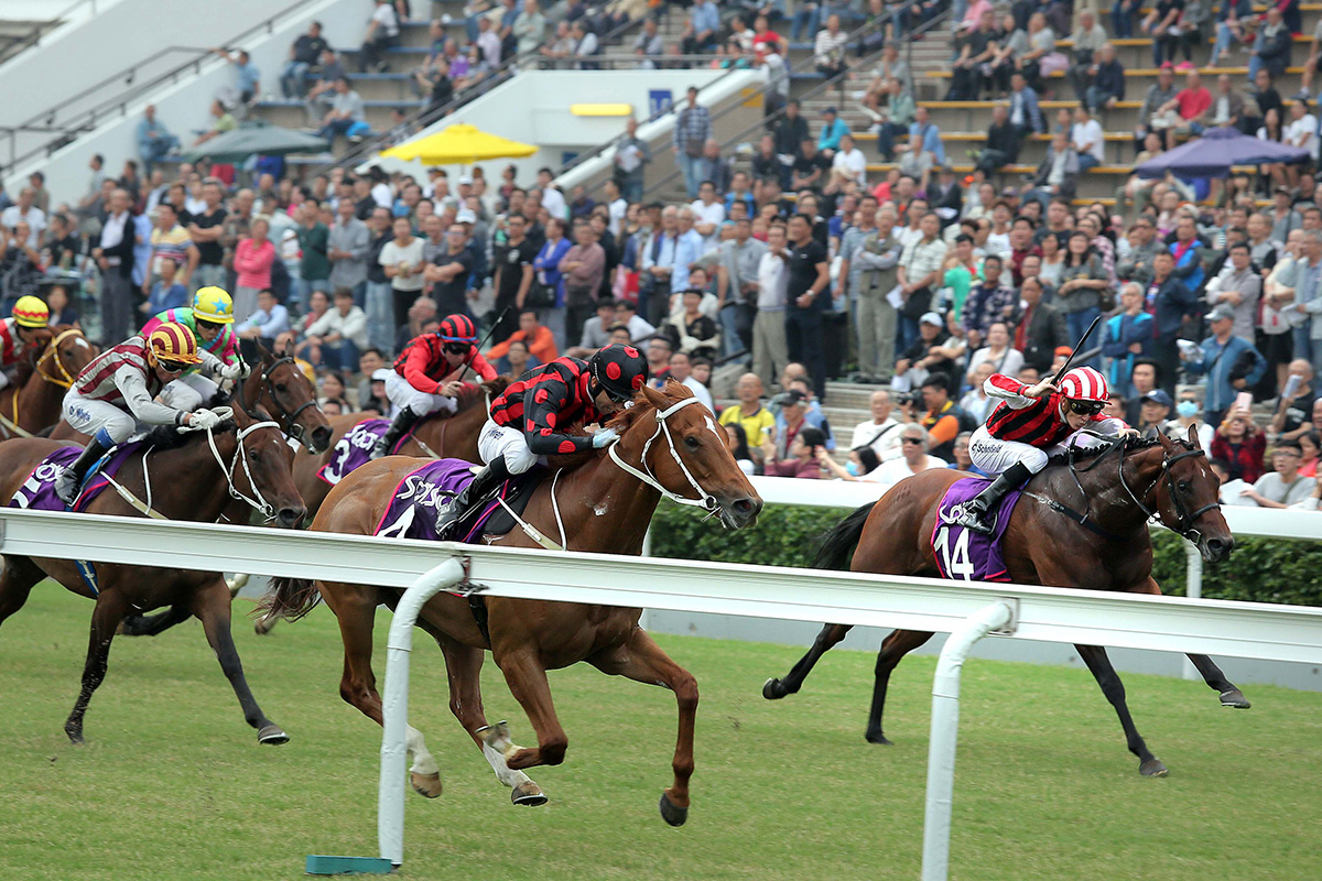 Nassa (No. 14), ridden by Chad Schofield, scores in the Sa Sa Ladies' Purse (Handicap), a Group 3 race over 1800m.